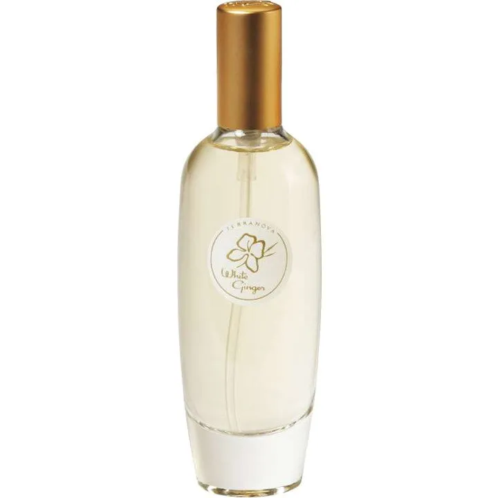 Terranova Island Collection - White Ginger (Cologne Mist) parfüm şişesi
