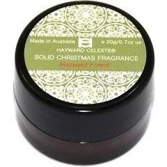 Hayward Celeste Solid Christmas Fragrance - Hayward Forest parfüm şişesi