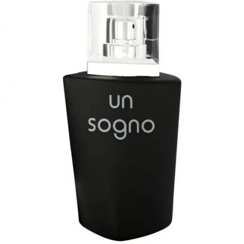 Dina Cosmetics Un Sogno pour Homme perfume bottle