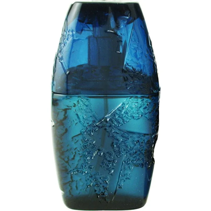 Guy Laroche Horizon (Eau de Toilette) parfüm şişesi