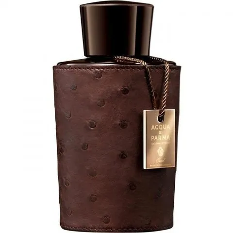 Acqua di Parma Colonia Intensa Oud Special Edition 2013 parfüm şişesi