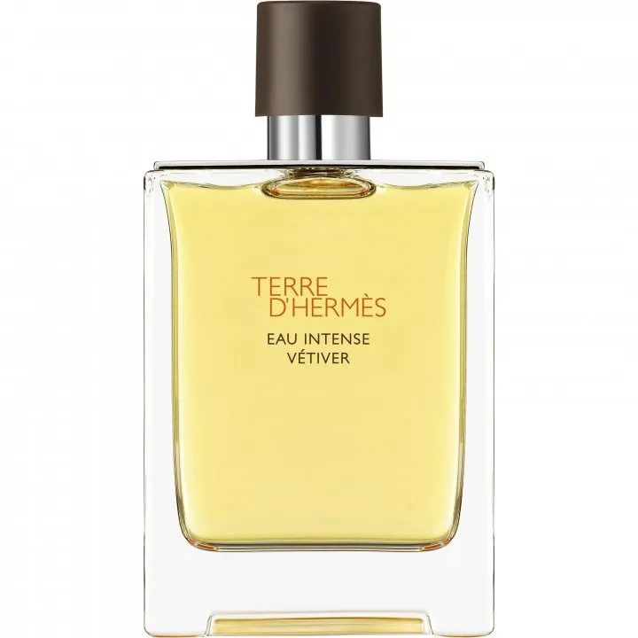 Hermès Terre d'Hermès Eau Intense Vétiver parfüm şişesi