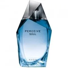 Avon Perceive Soul for Him parfüm şişesi