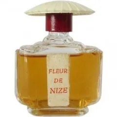 Unknown Brand / Unbekannte Marke Fleur de Nize parfüm şişesi