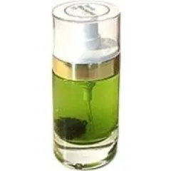 Terra Moderna 55 Border Line - Ice Green parfüm şişesi