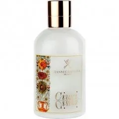 Gianni Campagna Ciuri Ciuri perfume bottle