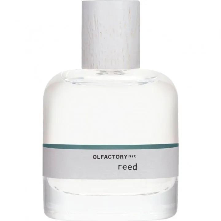Olfactory NYC Reed perfume bottle