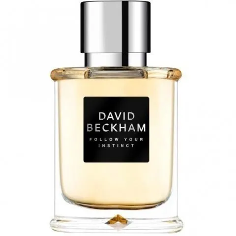 David Beckham Follow Your Instinct (Eau de Toilette) parfüm şişesi