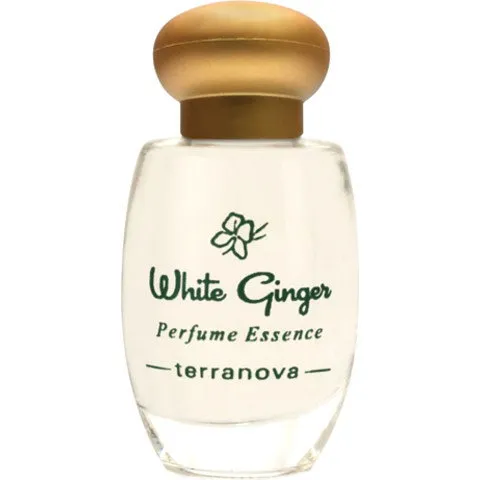 Terranova White Ginger (Perfume Essence) perfume bottle