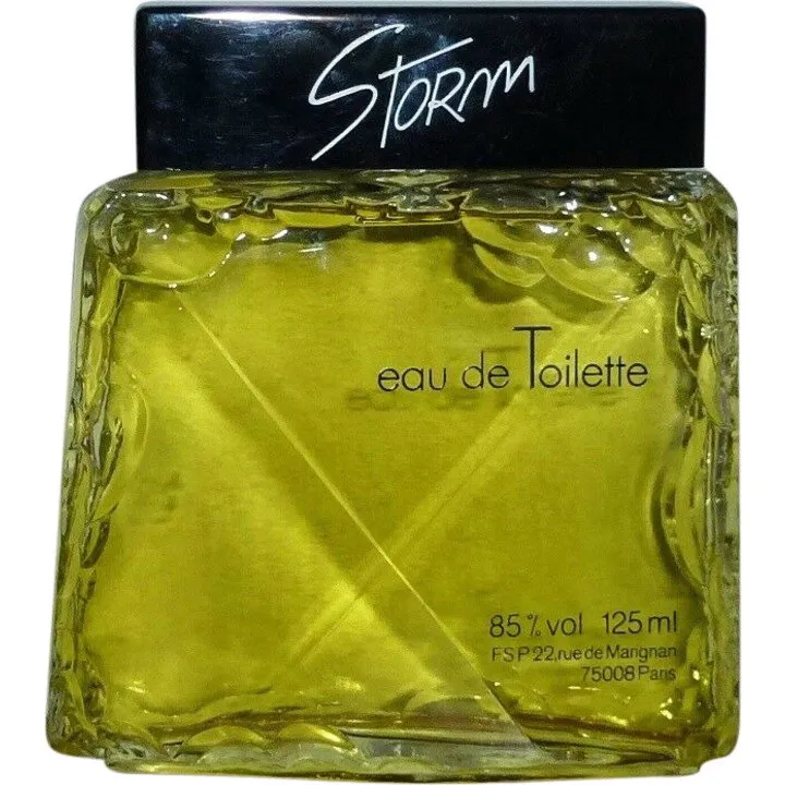 Elida Gibbs Storm perfume bottle