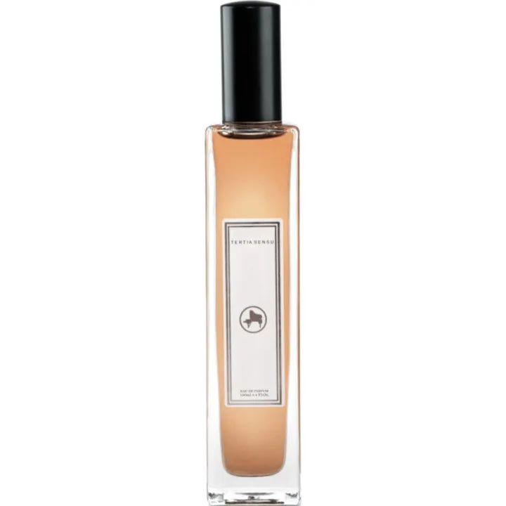 Tertia Sensu Oud Mineral Privé parfüm şişesi