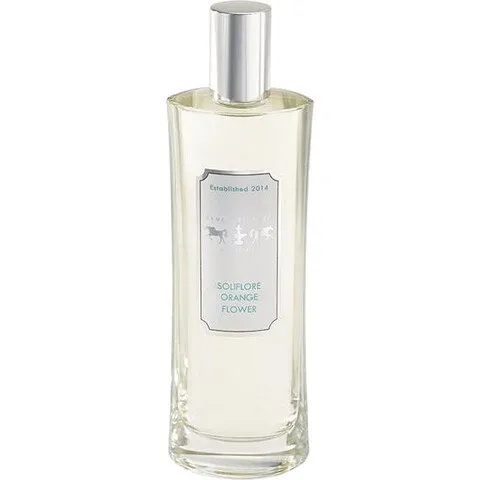 Dame Perfumery Scottsdale Soliflore Orange Flower (Eau de Toilette) parfüm şişesi