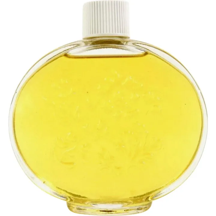 Avon Cologne Elegante Atomizer Decanter - Moonwind parfüm şişesi