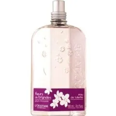 L'Occitane en Provence Fleurs de Brignoles / Plum Blossom parfüm şişesi