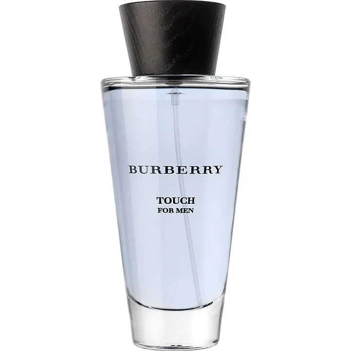 Burberry Touch for Men (Eau de Toilette) parfüm şişesi