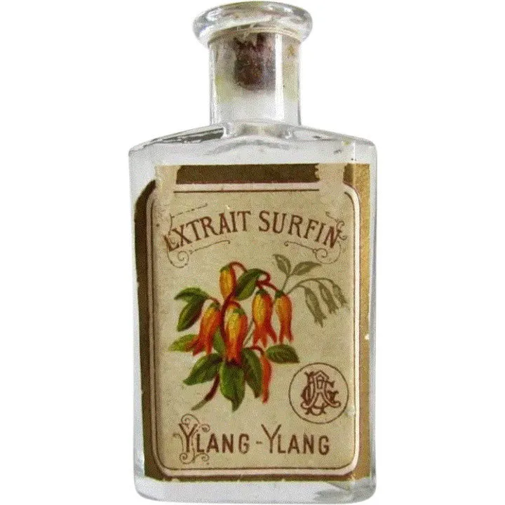 Unknown Brand / Unbekannte Marke Extrait Surfin Ylang-Ylang parfüm şişesi