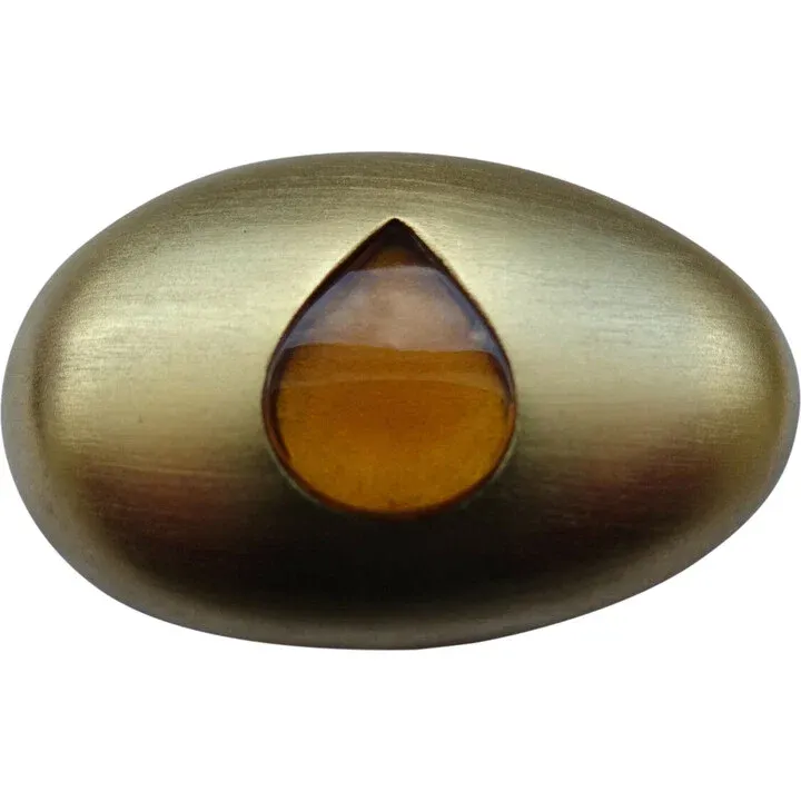 Estēe Lauder Intuition Essence of You parfüm şişesi