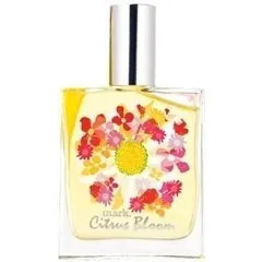 mark. Citrus Bloom perfume bottle