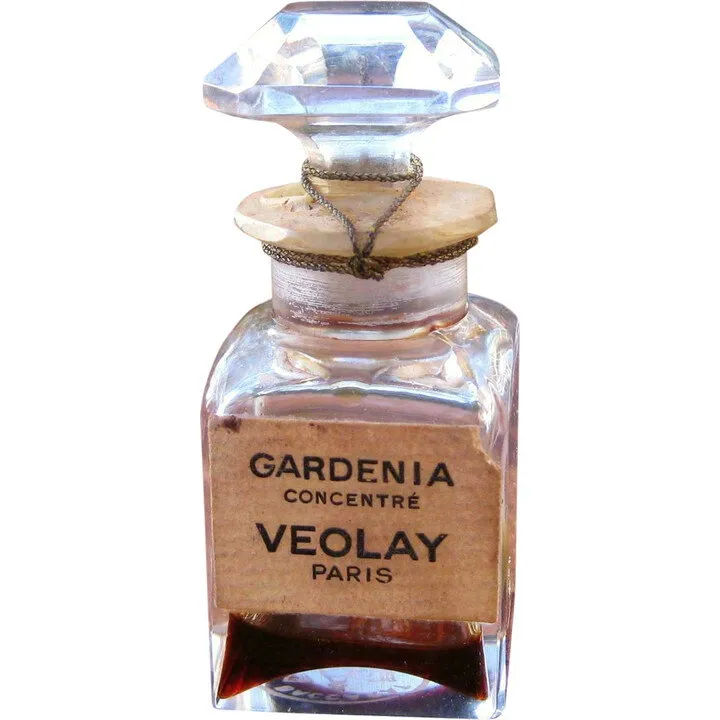 Violet Gardenia Concentré parfüm şişesi