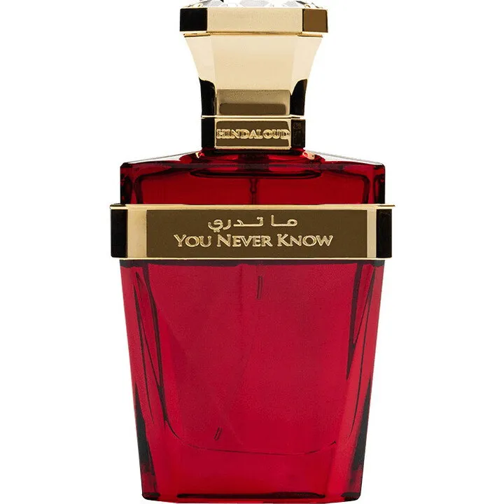Hind Al Oud You Never Know parfüm şişesi