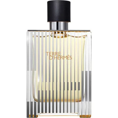 Hermès Terre d'Hermès Flacon H 2009 perfume bottle