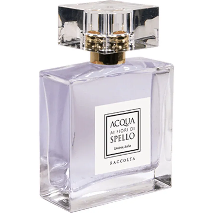 Acqua ai Fiori di Spello Raccolta perfume bottle