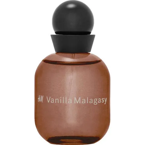 H&M Vanilla Malagasy parfüm şişesi