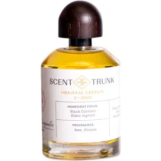 Scent Trunk Black Currant / February 2020 parfüm şişesi