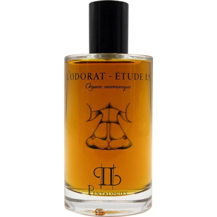 Pentalogies L'Odorat - Étude 1.5 perfume bottle