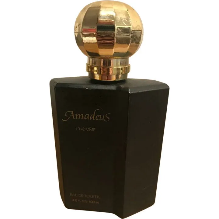 Unknown Brand / Unbekannte Marke Amadeus L'Homme parfüm şişesi