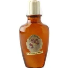 Le Labo Belle du Soir parfüm şişesi