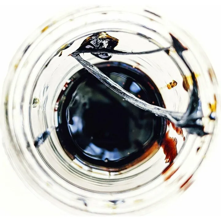 Wild Veil Perfume Feeding Hansel perfume bottle