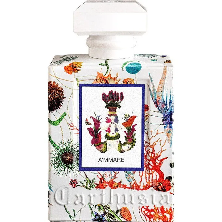Carthusia A'mmare (Eau de Parfum) parfüm şişesi
