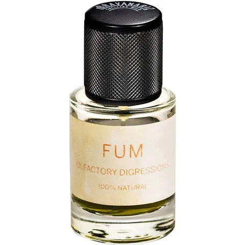 Bravanariz Olfactory Digressions - Fum perfume bottle
