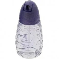 Pino Silvestre Carezza di Cotone perfume bottle