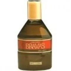 Shiseido Bravas Bosky / ブラバスバスキー parfüm şişesi