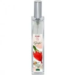 Helan Fiori Radici Frutti - Ginger parfüm şişesi