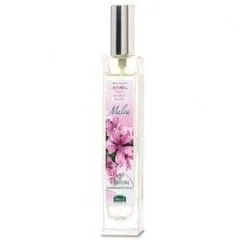 Helan Fiori Radici Frutti - Malva perfume bottle