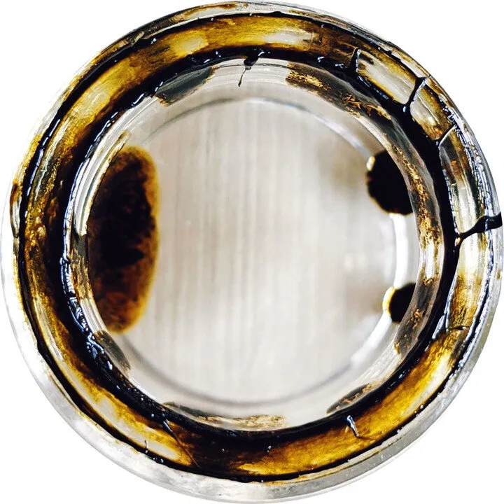 Wild Veil Perfume Pisces Rising parfüm şişesi