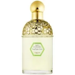 Guerlain Aqua Allegoria Angélique Lilas parfüm şişesi