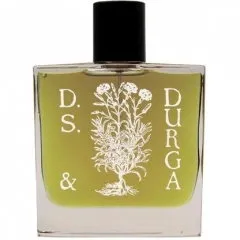 D.S. & Durga Boston Ivy parfüm şişesi