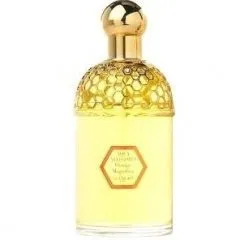 Guerlain Aqua Allegoria Orange Magnifica parfüm şişesi
