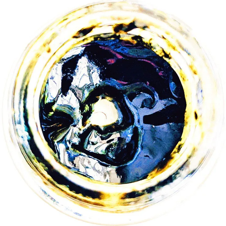 Wild Veil Perfume Remote Viewer (Solid Perfume) perfume bottle