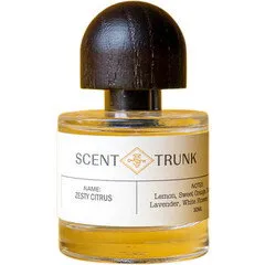 Scent Trunk Zesty Citrus parfüm şişesi