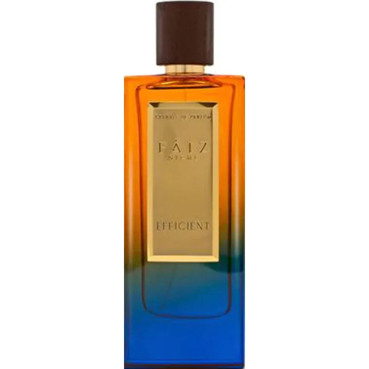 Faiz Niche Premium Collection - Efficient parfüm şişesi
