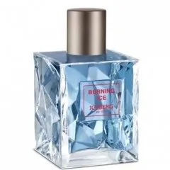Iceberg Burning Ice (Eau de Toilette) parfüm şişesi
