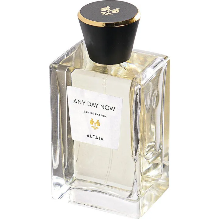 Altaia Any Day Now parfüm şişesi
