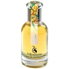 Bissoumine Rivages de Méditerranée perfume bottle