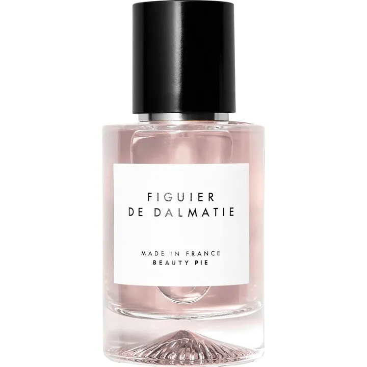 Beauty Pie Figuier de Dalmatie parfüm şişesi