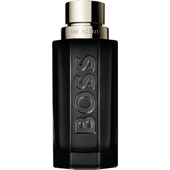 Hugo Boss The Scent Magnetic for Him parfüm şişesi